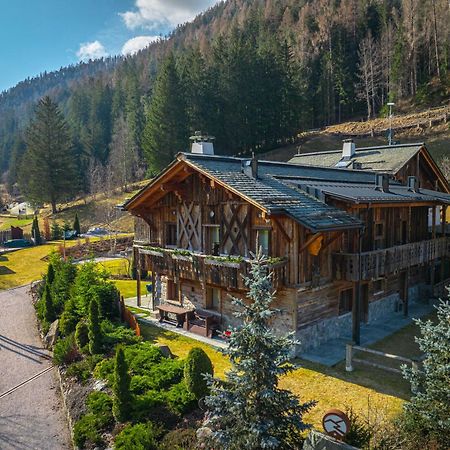 Alpine Mountain Chalet Сан-Виджилио-ди-Мареббе Экстерьер фото