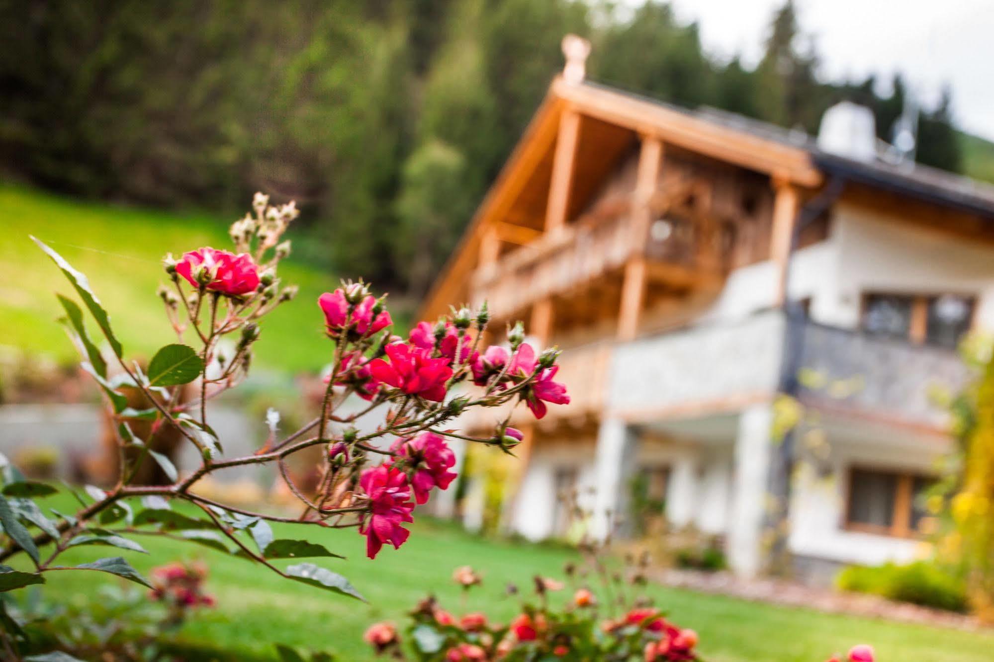 Alpine Mountain Chalet Сан-Виджилио-ди-Мареббе Экстерьер фото